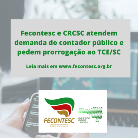 contador público